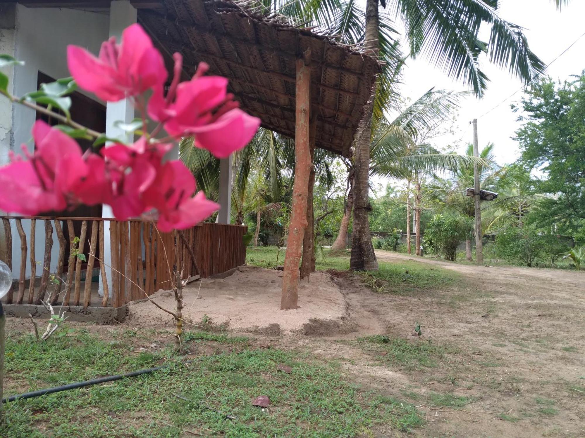 Soma Cabana, Homestay & Restaurant Tangalle Εξωτερικό φωτογραφία