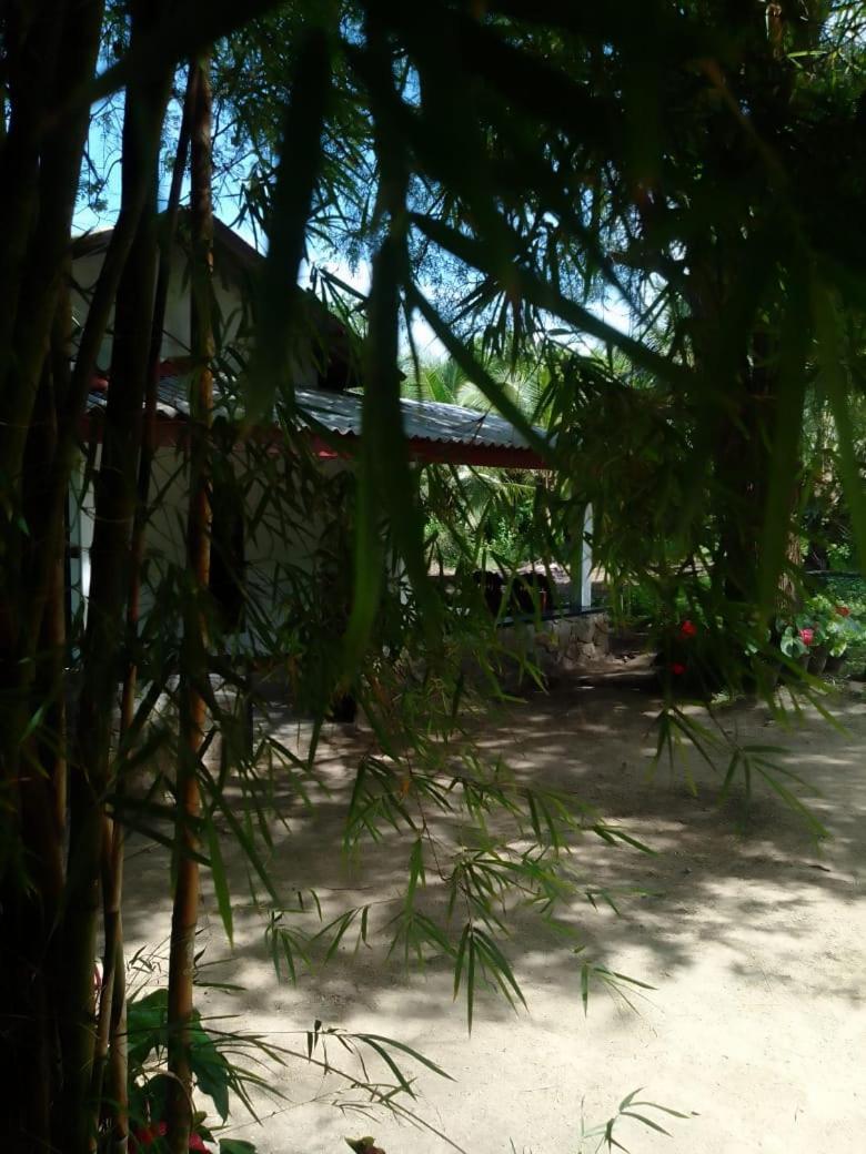Soma Cabana, Homestay & Restaurant Tangalle Εξωτερικό φωτογραφία